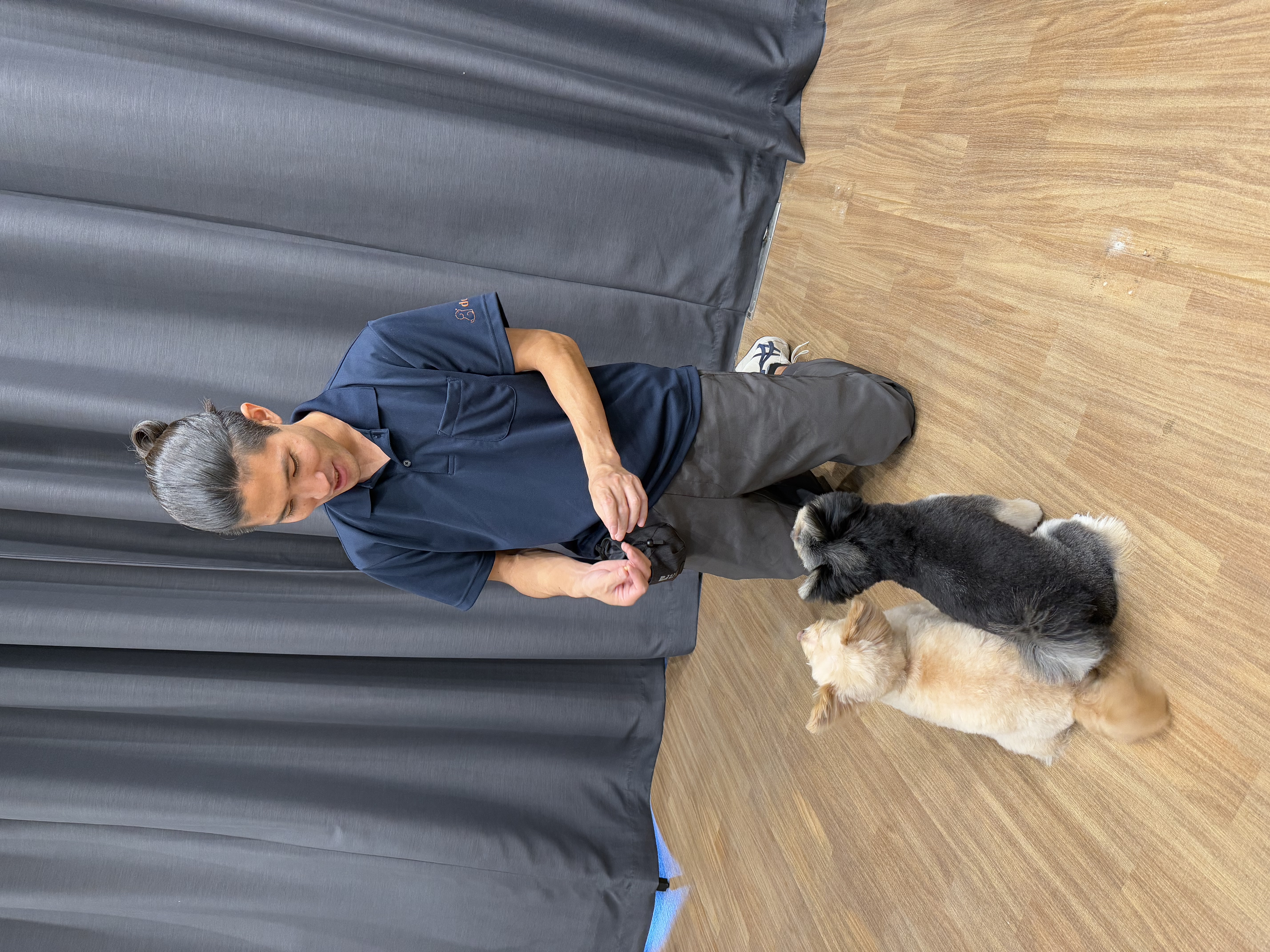 家でリラックスする犬